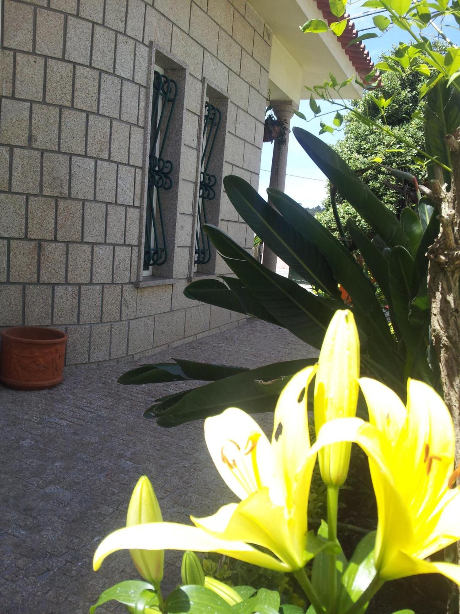 Villa d'Arcos Arcos  Esterno foto